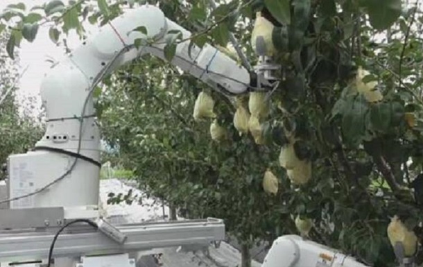 В Японии создан робот-фермер (ВИДЕО)