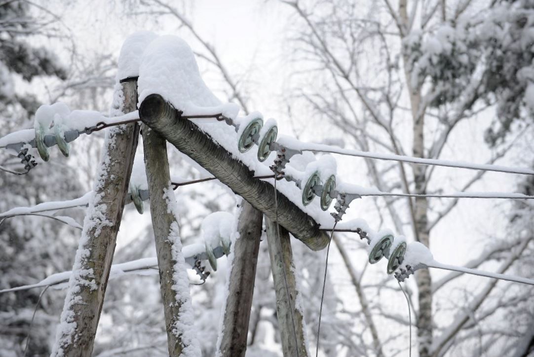 На Закарпатті через снігопад вночі 16 населених пунктів лишилися без електропостачання. 