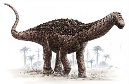 Палеонтологи знайшли в одному з музеїв Франції останки раніше невідомого виду титанозаврів, що жив в Європі близько 160 мільйонів років тому і важив 15 тонн.
