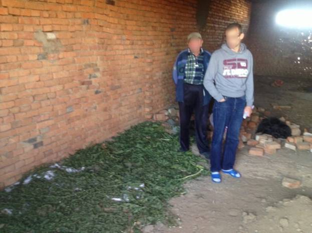 Около 6 кг высушенных растений, внешне похожих на коноплю, сотрудники Мукачевского районного отделения участка обнаружили в доме 30-летнего жителя села Новое Давидково.