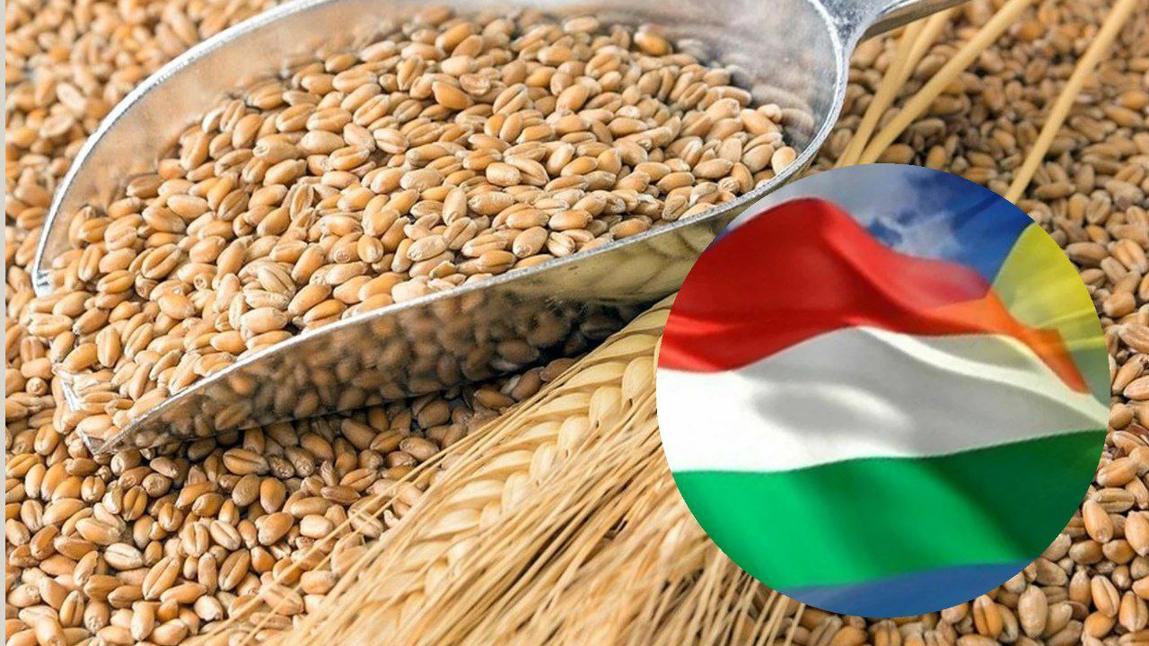 Угорщина заявила, що допоможе Україні з експортом зерна
