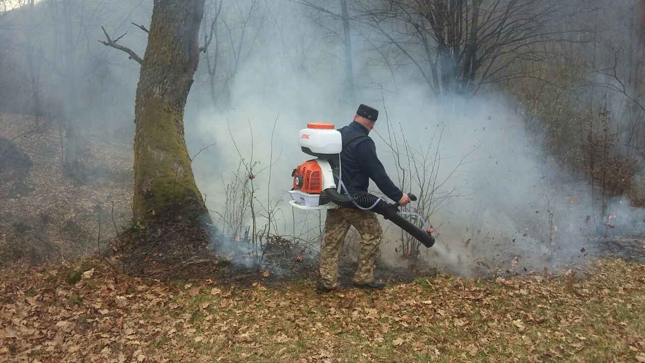 За два тижні працівники державної лісової охорони Великобичківського лісомисливгоспу загасили понад 100 пожеж.