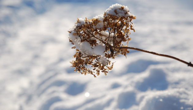 31 грудня -1 січня збережеться хмарна погода, у Карпатах — невеликий сніг із дощем. 