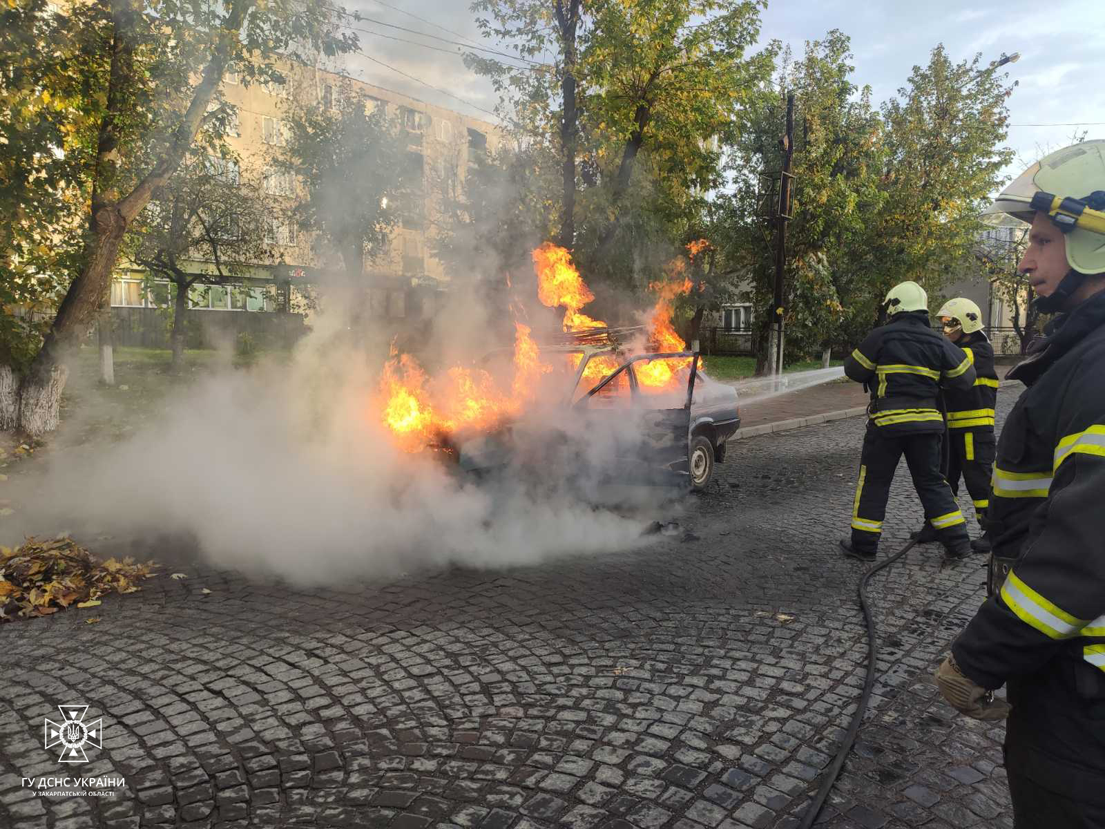 На Хустщині пожежа нищила автівку: рятувальники розповіли нові подробиці (ФОТО)