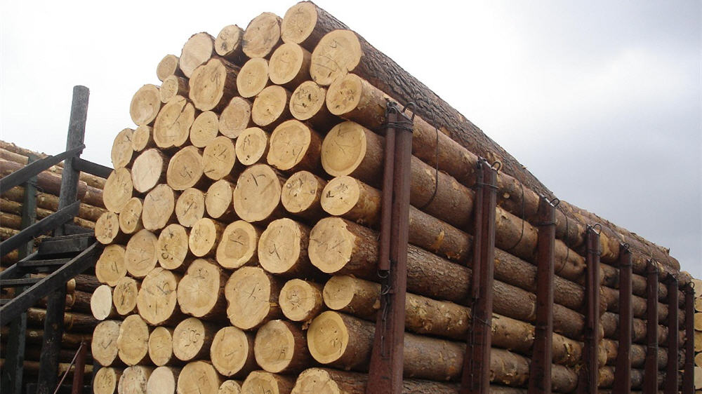 Ужгородському військовому лісництву, яке належить Міноборони України, відмовили у дозволі на видачу сертифікатів про походження лісоматеріалів для експорту кругляка фірмам Чехії та Великобританії.