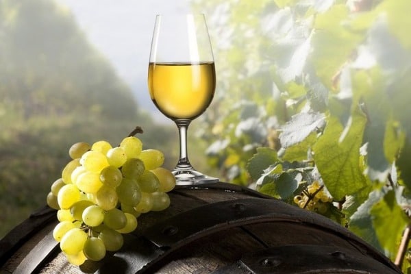 13 жовтня 2016 року набув чинності Закон України від 20 вересня 2016 року № 1534-VIII щодо оптової торгівлі алкогольними напоями, виготовленими з власного (не придбаного) виноматеріалу.