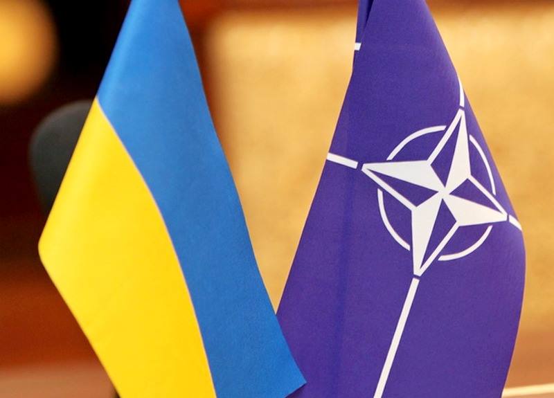 Українські дипломати визнають, що з точки зору реалізації планів Річної національної програми співробітництва України з НАТО, ці плани втілюються не дуже якісно. 