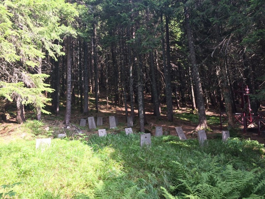 Наталія Федоришин віднайшла унікальний австрійський цвинтар і віднайшла могили де 30.8.1916 р. загинули сотні вояків.

