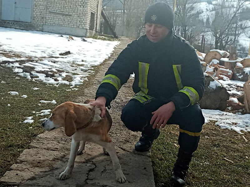 У Воловці один із рятувальників почув скавчання собаки на території пожежної частини.