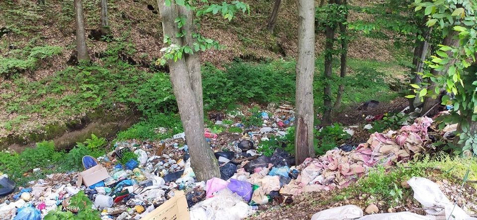 В селе Буковое на Виноградовщине обнаружили немало отходов между деревьями.