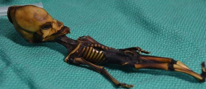 Вчені дослідили 15-сантиметровий муміфікований скелет з Чилі та встановили, що він належить новонародженому з численними мутаціями в ключових генах.

