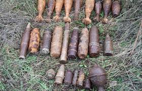 В Буштино были обнаружены мины и гранаты.