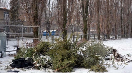 Відома подальша доля викинутих ялинок ужгородців (ВІДЕО)