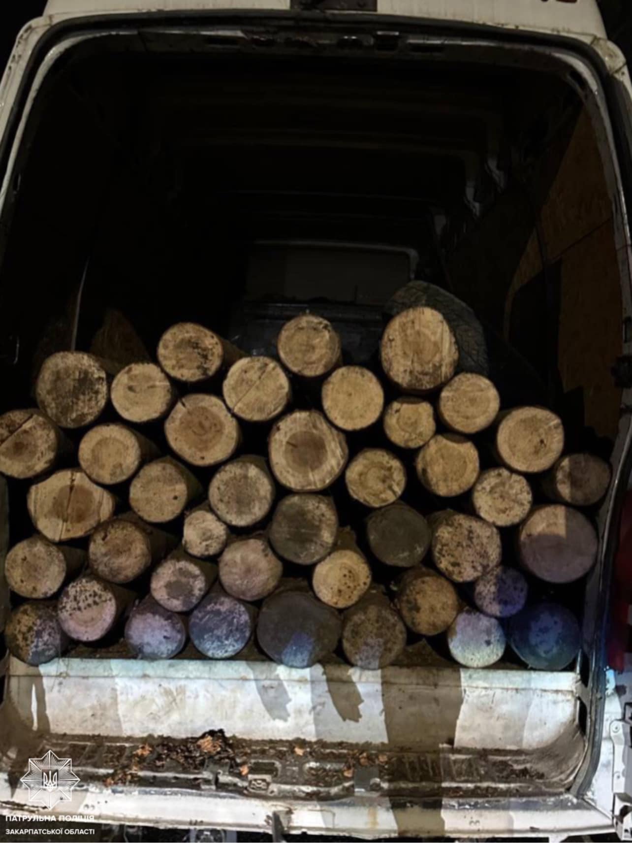 На Закарпатті викрили водія, який незаконно перевозив деревину