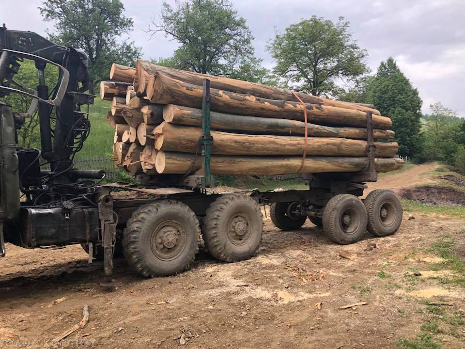 В Ясінянському лісгоспі місцеві «чорні лісоруби», в яких вилучали крадену деревину, пошкодили службові автівки працівників поліції. 