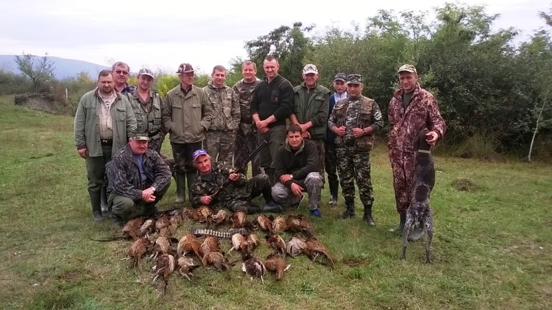 У перший день сезону, 4 жовтня, мисливці Виноградівської районної організації УТМР вполювали 158 фазанів та шість качок.