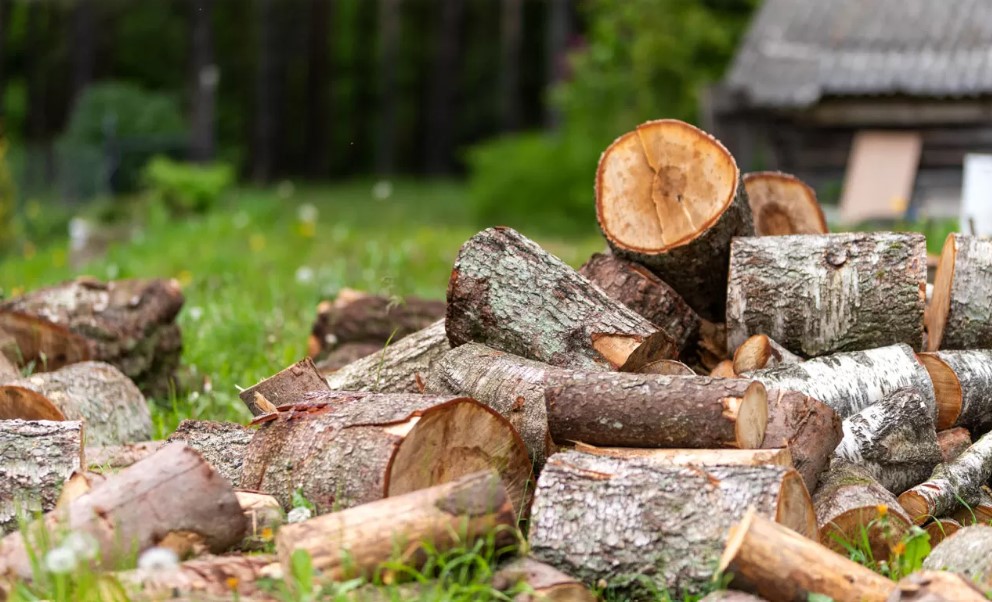 Свалявчани мають змогу придбати дрова для власних потреб за ціною твердолистяних порід на верхньому складі всього за 804 грн. за кубічний метр