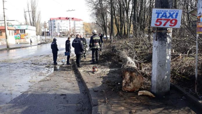 У неділю, 10 березня, у Вінниці через негоду загинула 11-річна дівчинка, на яку впало дерево.