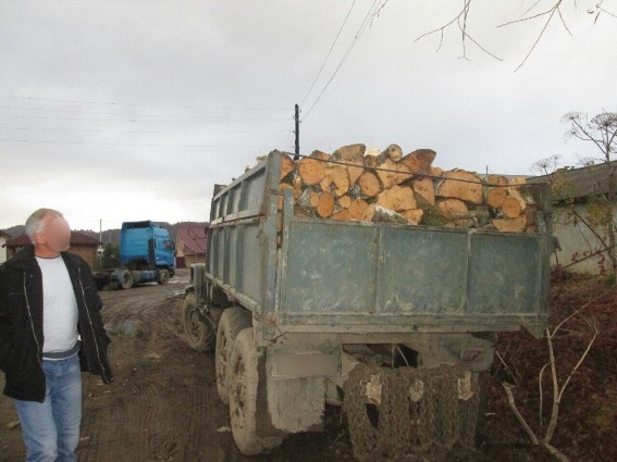 В Тячеві поліція викрила лісоруба