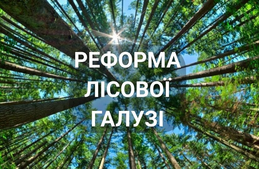 Председатель Закарпатской областной Думы выступил против объединения лесохозяйственных предприятий в Рахове и Тячевском районе