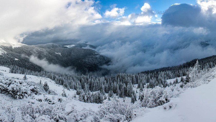 Закарпатський обласний центр з гідрометеорології інформує, що 11 грудня 2017 року

