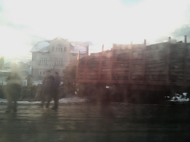 Зранку 4 грудня на Прикарпатті трапилася ДТП: лісовоз “злетів” з дороги і врізався у приватне подвір’я.