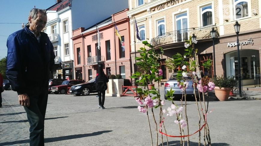 Наконец в Ужгороде начался сезон цветения сакур. Горожане спешат делать 