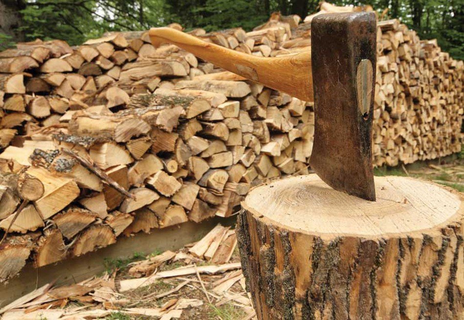 Попит на дрова та інші види твердого палива цього року значно вищий, ніж торік. З цієї причини ціна на дрова зростає чи не щодня. У порівнянні з минулим роком вони зросли в середньому на 30%. 