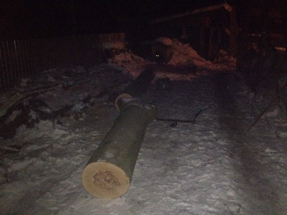 Первый случай изъятия незаконно срубленной древесины случился в селе Вільховиця Мукачевского района. 