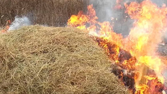 Пожежа сталася в с. М. Бийгань, Берегівського району.