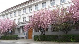 21 апреля 2020 года состоялось собрание судей Закарпатского апелляционного суда. на которых были избраны заместитель председателя Закарпатского апелляционного суда.