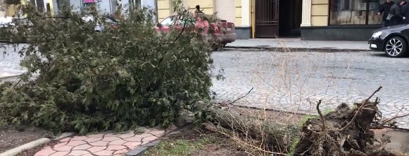 Закарпаттям пронісся буревій (ВІДЕО)