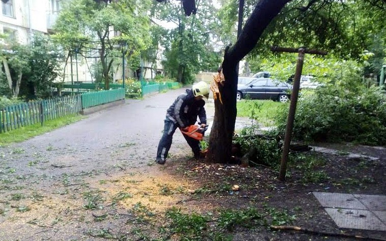 Утром 5 июня в Чопе на проспекте Железнодорожников упало дерево.