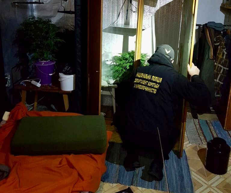 На Ужгородщині поліцейські під час обшуку виявили у фігуранта майже кілограм марихуани та міні-лабораторію для вирощування нарковмісних рослин.