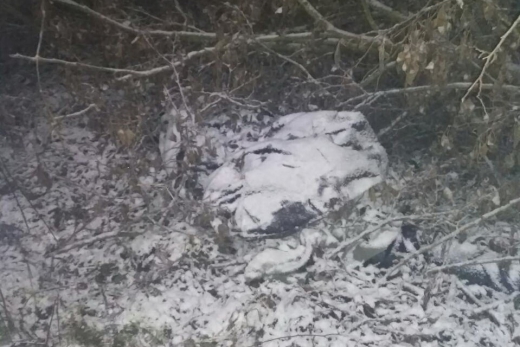 Вчора, 6 лютого, близько 00:20, у лісопосадці села Біла Церква Рахівського району виявили присипане гілками тіло чоловіка. Правоохоронці оперативно встановили його особу.