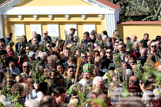Возле Кафедрального собора в Ужгороде отмечали Вербное воскресенье