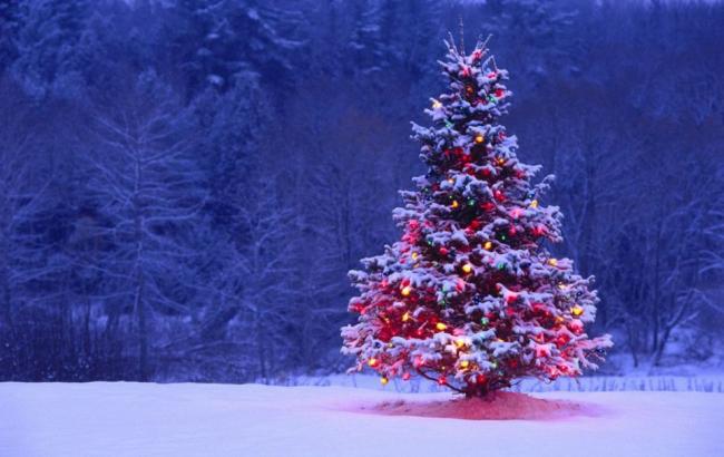 Обов’язковим атрибутом зимових свят є новорічна красуня – ялинка. Духмяний аромат свіжої глиці створює неповторну атмосферу свята.