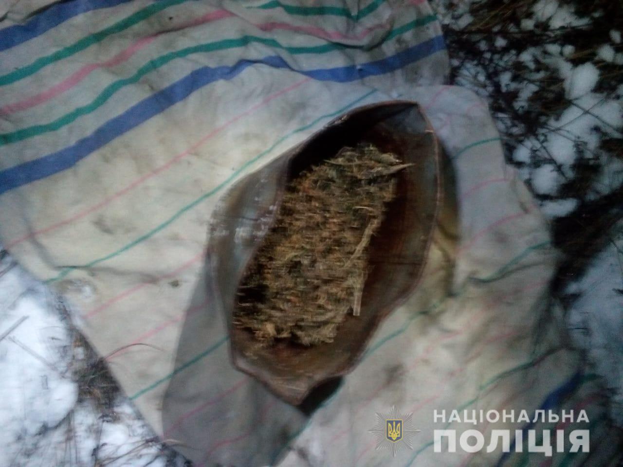 Суміш, схожа на марихуану, вилучена за місцем проживання 37-річного мешканця села Ворочево.