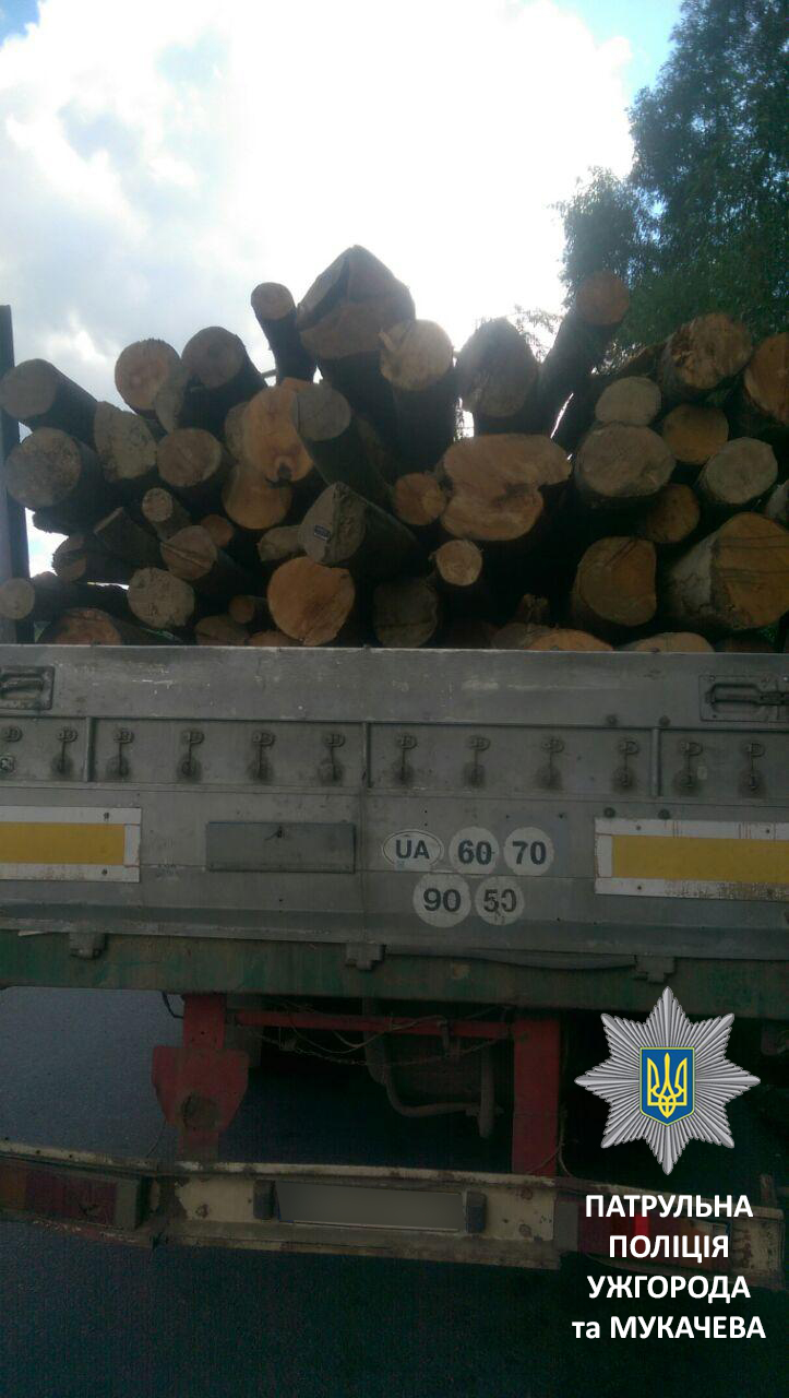 В закарпатском ОУЛМГ ответили на сообщения местных СМИ относительно остановленной в Нижних Воротах фуры с незаконно вырубленным лесом.