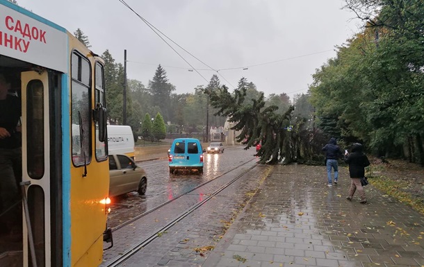 Кілька дерев впали на дроти. Через це у Львові на певний час зупинився електротранспорт.
