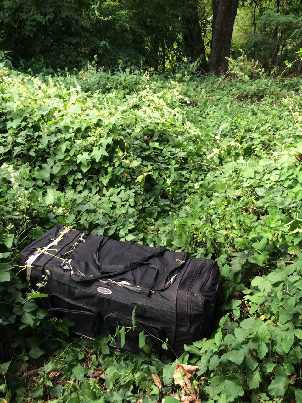 Пограничники Мукачевского отряда во время мониторинга государственной границы на участке отдела «Вилок» обнаружили сумку упакованную табачными изделиями. Находку обнаружили за 100 метров от держрубежу. 