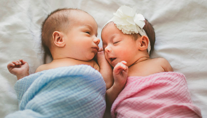Сьомий тиждень поспіль у пологовому відділенні Мукачівської лікарні народжуються двійнятка.