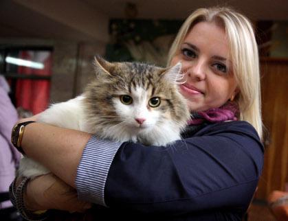 29 ноября в помещении «Падиюн» в Ужгороде прошел конкурс котов под условным названием «Мисс-Кис».