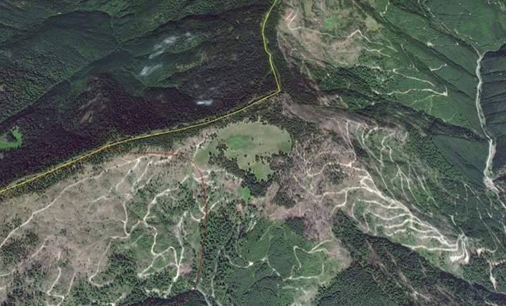 ЗОУЛМГ надало роз'яснення щодо масової вирубки лісу на кордоні Закарпатської області та Румунії.