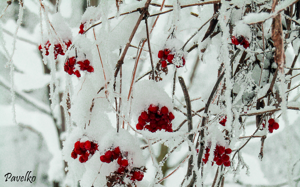 Ніч з 31 грудня на 1 січня 2019 року буде просто казковою – Новий рік українці зустрінуть зі снігом та морозами.
