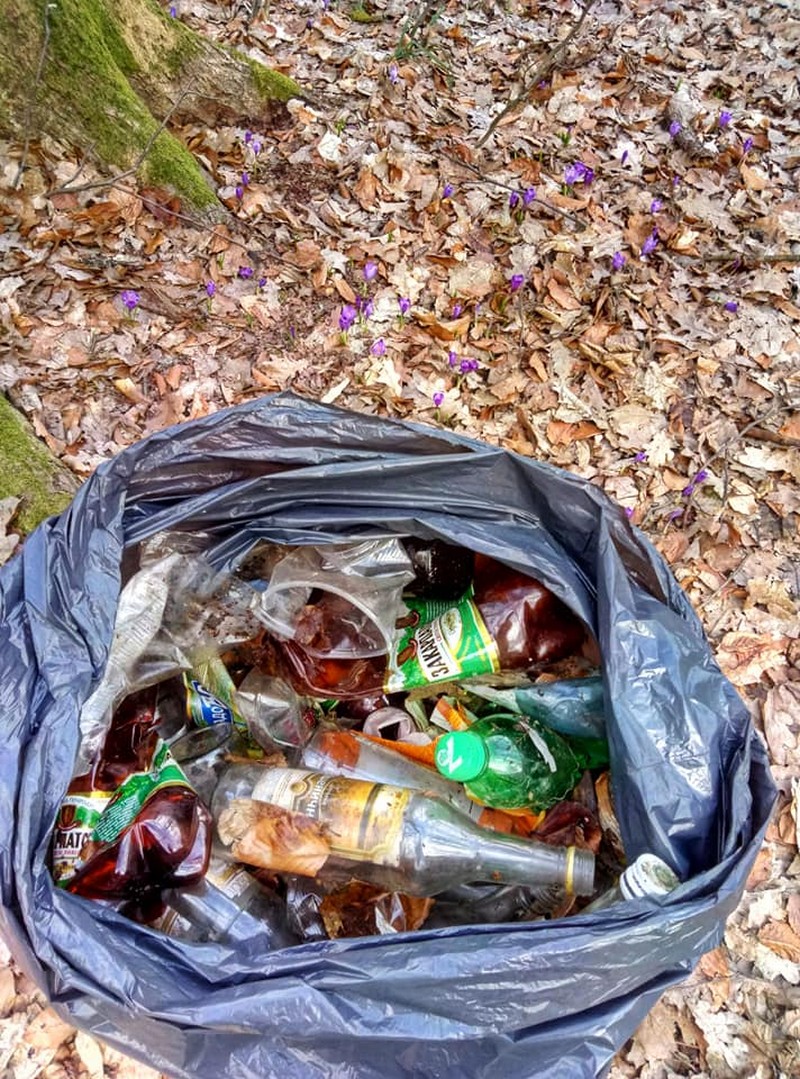 У селищі Поляна на Свалявщині шафранова долина буквально встелена сміттям.