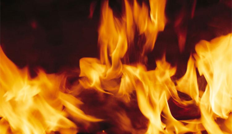 Причина та збитки від пожежі, що сталася у вівторок, 4 квітня, встановлюються, повідомляють в У ДСНС у Закарпатській області.
