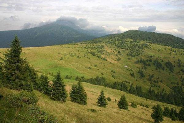 4 мільйонів євро - Україна отримала німецький грант на відновлення заповідників та природних парків