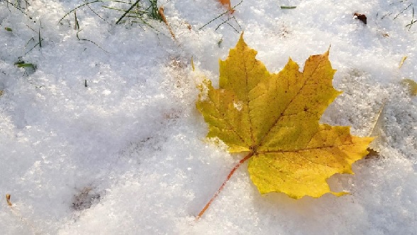 За прогнозом синоптика, похолодання буде у другій декаді листопада.