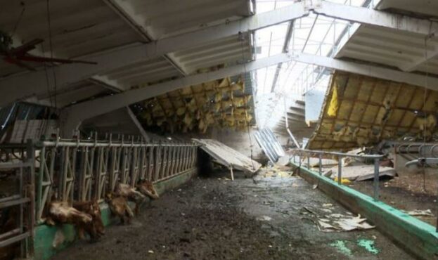 Одна з найбільших молочних агроферм Харківщини у селі Шестаковому, де тримали понад три тисячі голів худоби, внаслідок обстрілів зруйнована на понад 80%. 
